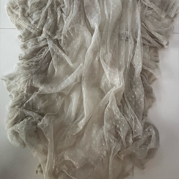 Sheer Ruffled Dress - Picture 2 of 3